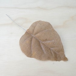 Hoja Costilla en Yute (chico) ?