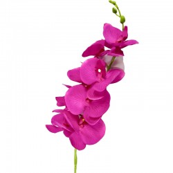 Orquídea (morado)