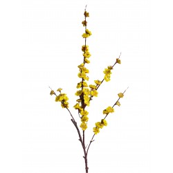 Flor del Cerezo Amarillo (Sakura)