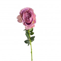 Rosa Individual (lila)
