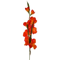 Flor de Palma