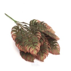 Bouquet de Costilla de Adam Otoñal