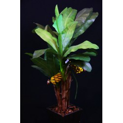 Árbol Plátano (3 tallos)