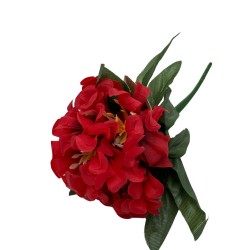 Bouquet De Crisantemos (5 Flores)