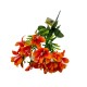 Bouquet De Flor Astromelia