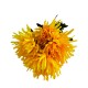 Bouquet De Crisantemos (7 Flores)