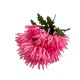 Bouquet De Crisantemos (7 Flores)