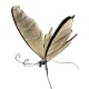 Mariposa con Luces LED (Alas de 60cm)
