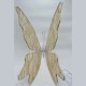 Mariposa con Luces LED (Alas de 100cm)