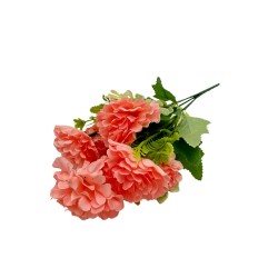 Bouquet De Claveles BG406045V