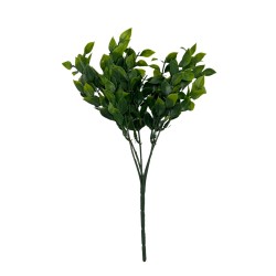 Bouquet De Olivo X5 BG 230521