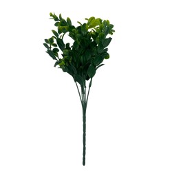 Bouquet De Olivo X5 BG 230521
