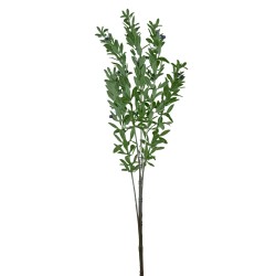Vara De Cherry BG 239072