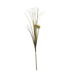 Vara De Grass Otoñal "P" BG 310026