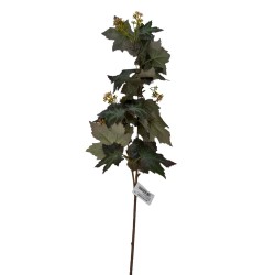 Vara De Hoja De Uva BG 310034GN/E