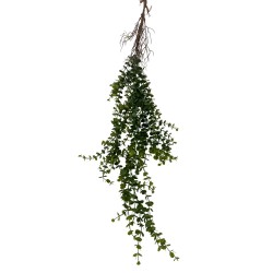 Colgante De Eucalipto BG 320009