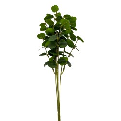 Bouquet De Eucalipto X5 BG 405293V