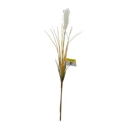 Vara Grass Pampas BG 410117