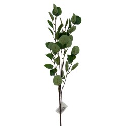 Vara De Eucalipto BG 410163V