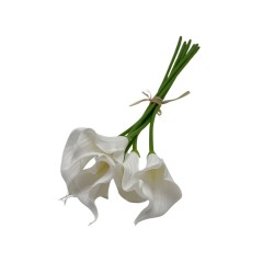 Bouquet de Cartuchos 8510