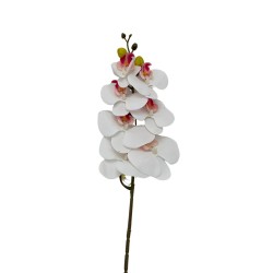 Vara De Orquidea Mediana BG 301464-6