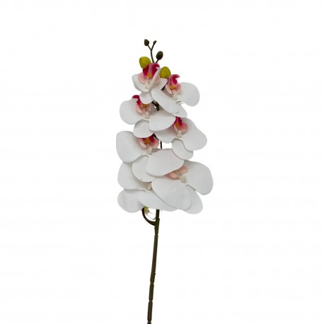 Vara De Orquidea Mediana BG 301464-6