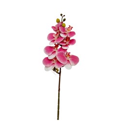 Vara De Orquidea Mediana BG 301464-9