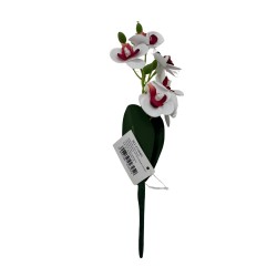 Orquidea Con Hojas BG 410080-BL1