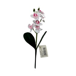 Orquidea Con Hojas BG 410080-BL2