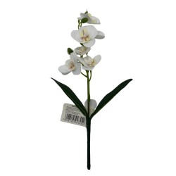 Orquidea Con Hojas BG 410080-BL2