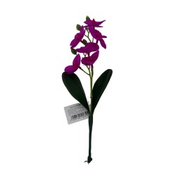 Orquidea Con Hojas BG 410080-MO1