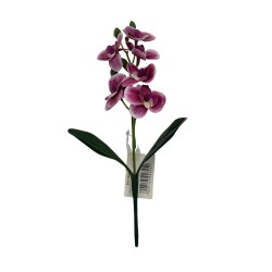 Orquidea Con Hojas BG 410080-MO2