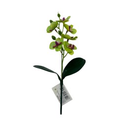Orquidea Con Hojas BG 410080-VD