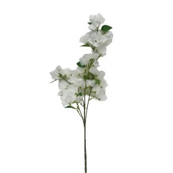 Vara De Bougainville BG 410081