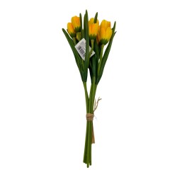 Bouquet De Tulipan BG 405264