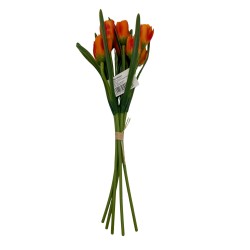 Bouquet De Tulipan BG 405264