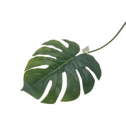 Vara De Hoja Tipo Costilla De Adam De 101Cm