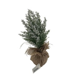 Mini Arbol De Navidad De 31Cm Con Base de Yute