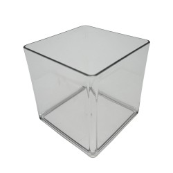 Florero De Acrílico Cuadrado 15Cm X 15Cm FV105 FLORIPASTORE