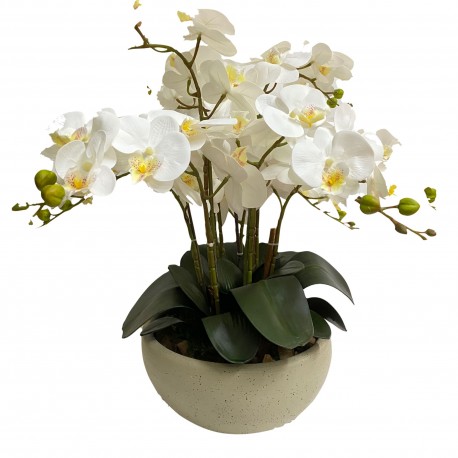 Arreglo de 8 Orquídeas Grandes