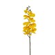 Arreglo de 8 Orquídeas Grandes