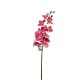 Arreglo de 8 Orquídeas Grandes