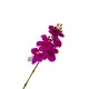 Arreglo de 8 Orquídeas Grandes