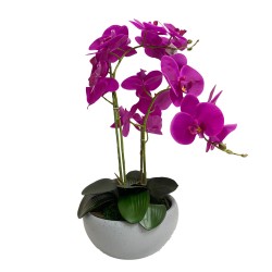 Arreglo de 8 Orquídeas Grandes