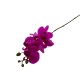 Arreglo de 2 Orquídeas Medianas