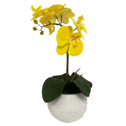 Arreglo de 2 Orquídeas Medianas