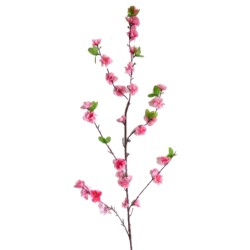 Flor del Durazno Rosada