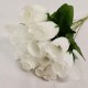 Set de 12 Rosas (blanco)