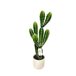 Planta Artificial Tipo Cactus De 56Cm