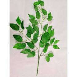 Set de 6 Hojas Tipo Ficus (verde)